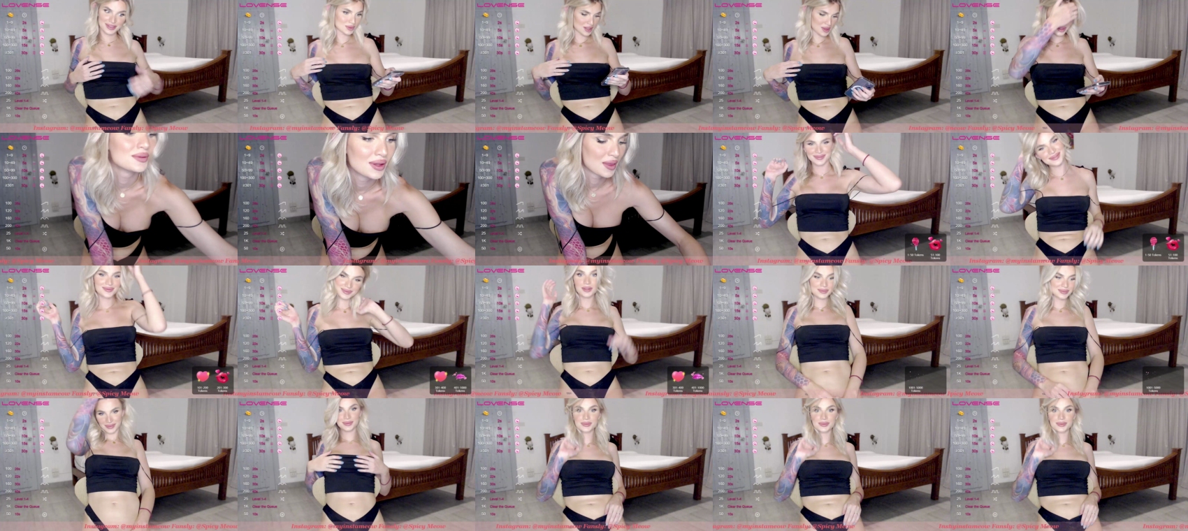 spicy_meow  08-06-2022